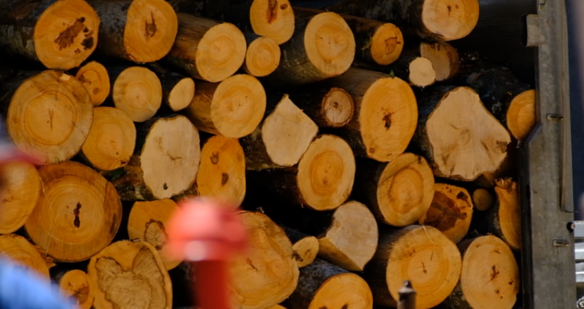 Paralajmërojnë tregtarët: Deri në 80 euro metra e drunjëve
