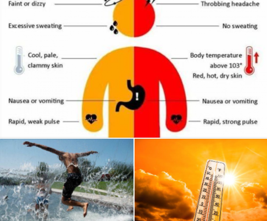Çka i bën nxehtësia trupit tonë?