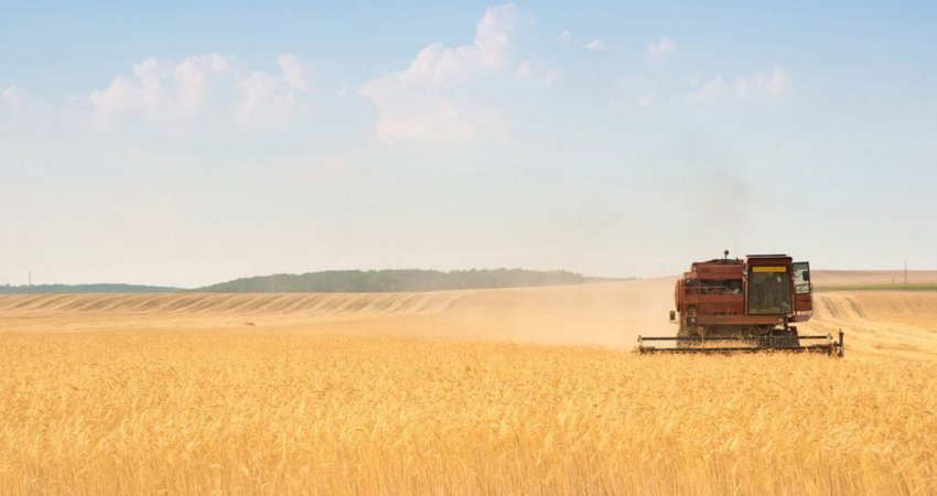 Ukraina jep një lajm të mirë për grurin