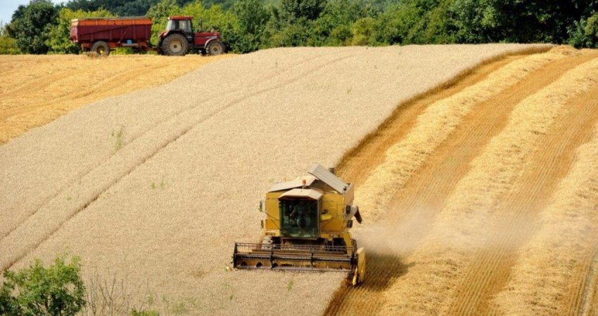 Storie nga AI Jazeera: Kosova dështon me grurin, edhe këtë vit mbetet e varur nga importi