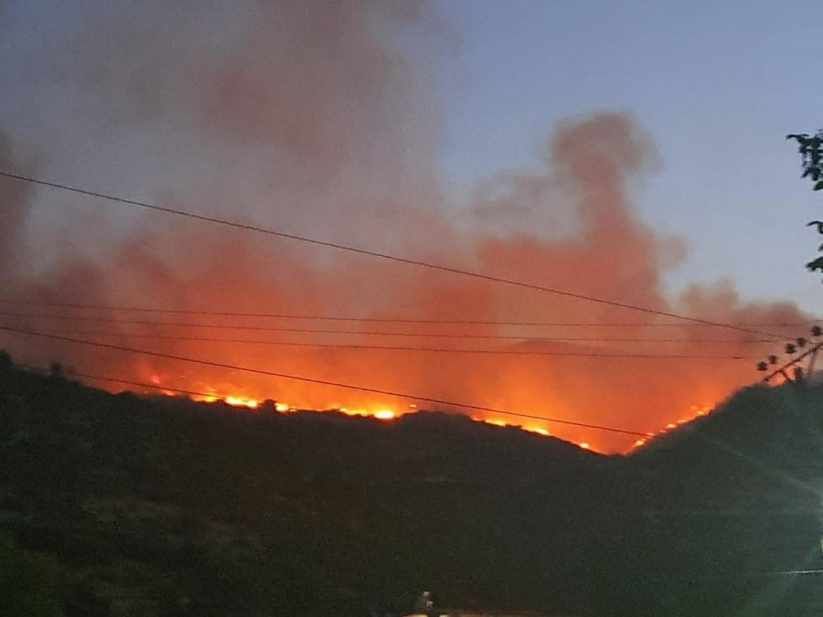 Zjarr në Vlorë, marrin flakë fshatrat Mifol dhe Trevllazër