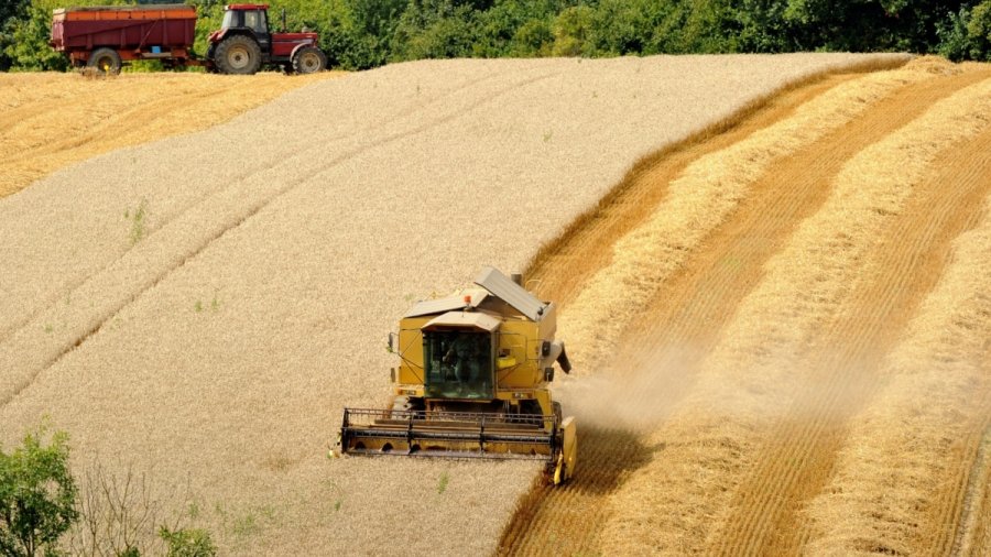 Rusia: Gati të eksportojmë 25 milionë tonë drithë deri në fund të vitit