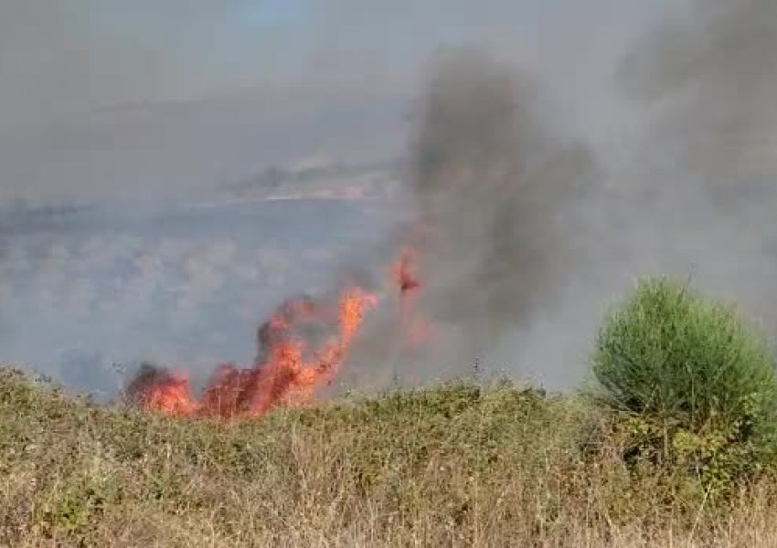 Zjarr në dy fshatra të Vlorës, digjen arat e grurit dhe ullishtet