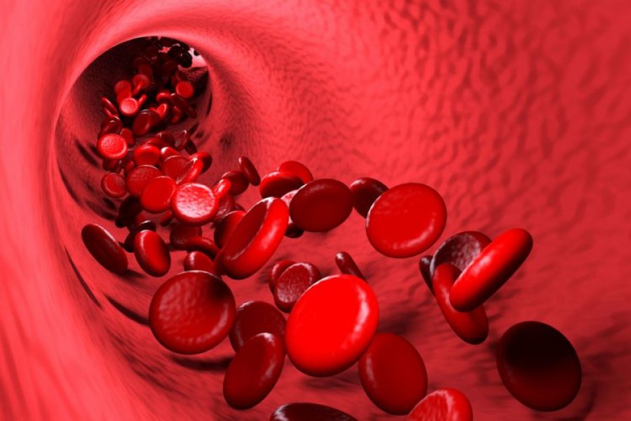 Studimi: Eritrocitet e dëmtuara nga COVID-19  mund të dëmtojnë enët e gjakut