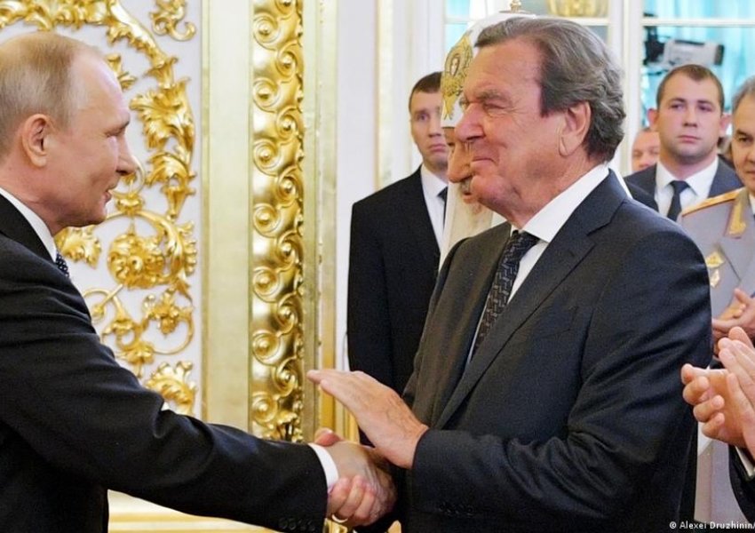 Miq për kokë - Putini dhe Schröderi