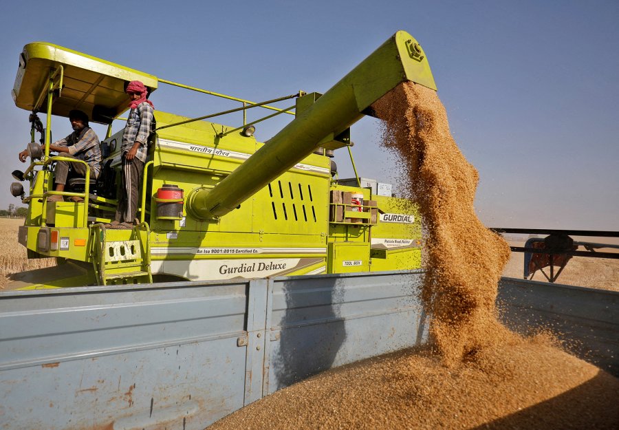 India, prodhuesi i dytë më i madh në botë, ndalon eksportin e grurit mes çmimeve në rritje