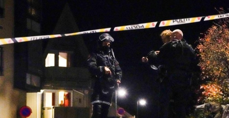 Sulm me thikë/ Katër të plagosur pas një sulmi në Norvegji