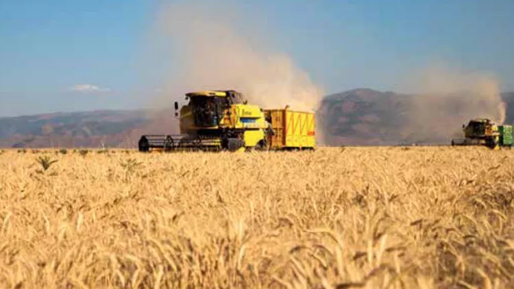 'Bota ka grurë të mjaftueshëm vetëm për 10 javë'