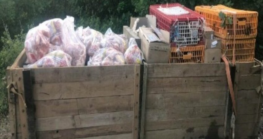 Kontrabandim me mallra, policia konfiskon mish, barna, pula e lepuj në kufirin Kosovë-Serbi