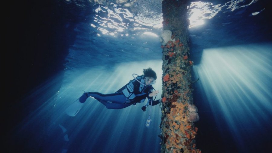 Kjo është 'Mbretëresha e thellësive', 87-vjeçarja ka kaluar më shumë se 7000 orë nën ujë