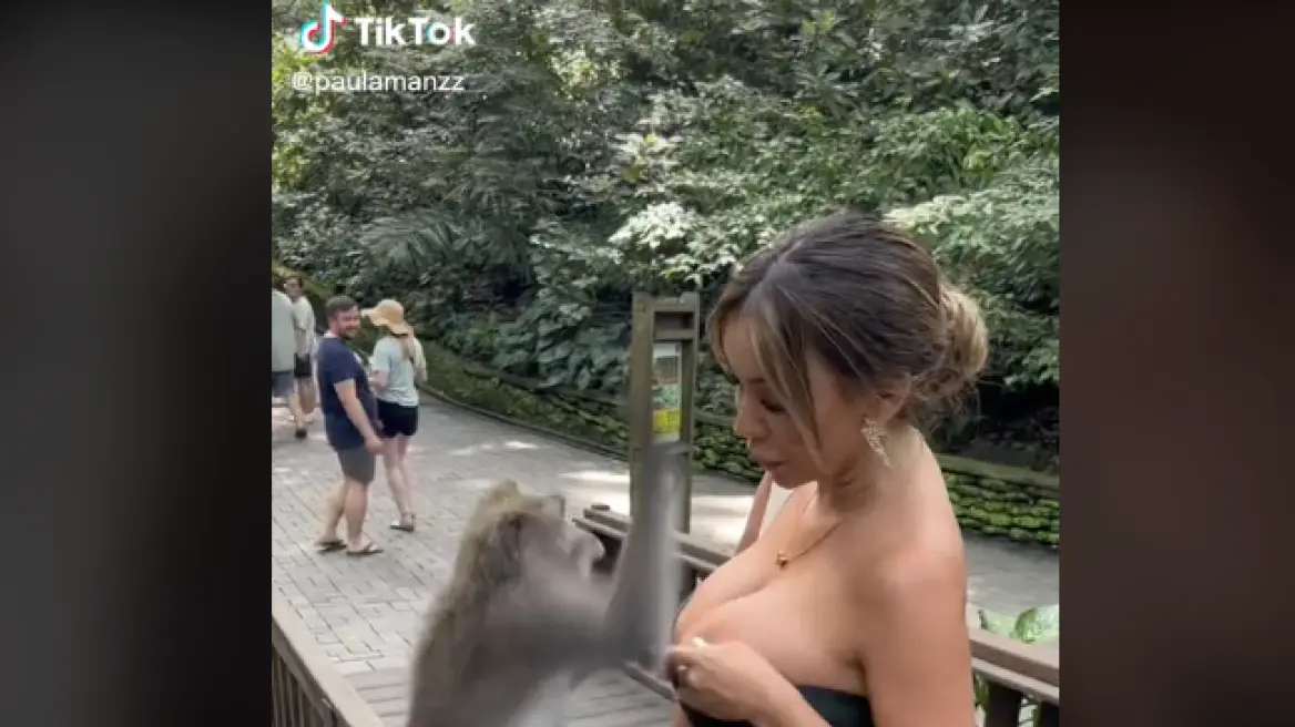 Kërkon t’i ul bluzën, majmuni në Indonezi i bën të papriturën ish-Miss Perusë