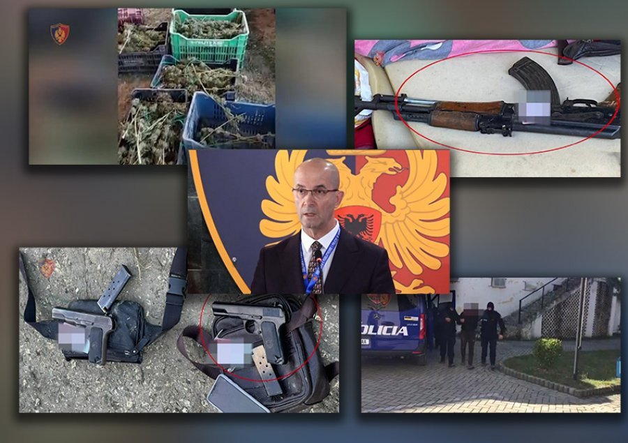 Serat plot me kanabis në Berat/ Nis hetimi për policët, dyshohet se...