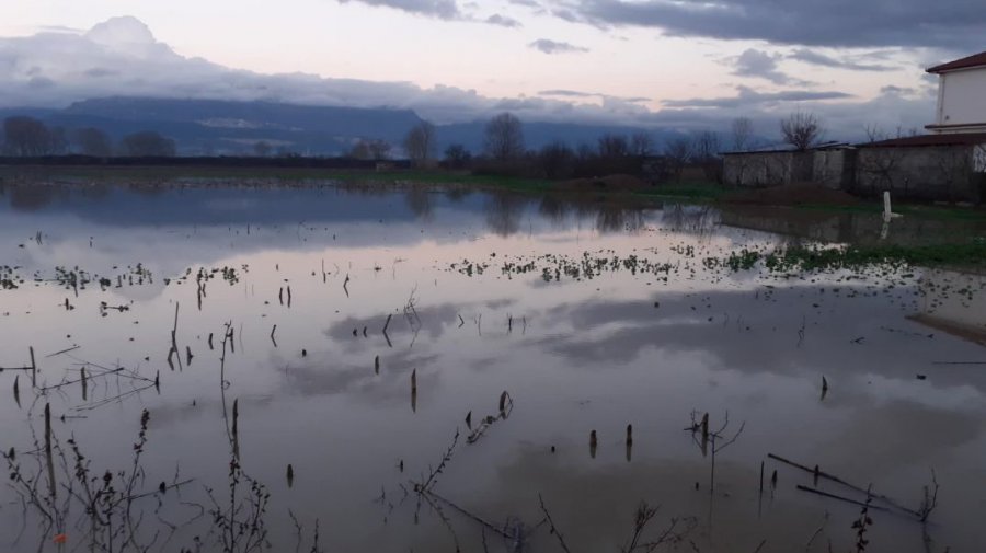 Përmbytje në Durrës: lumi Ishëm del nga shtrati, përmbyten arat, izolohen banesat