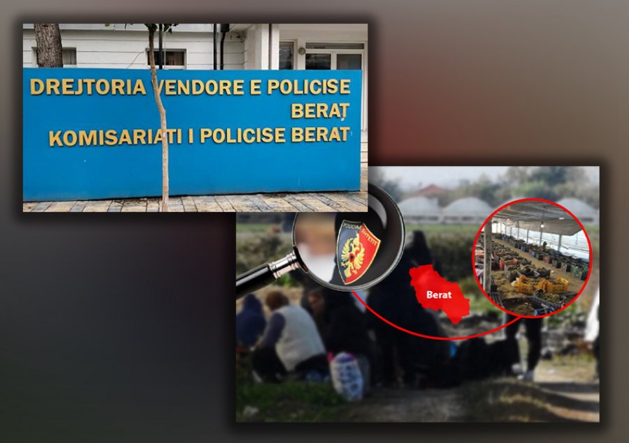 EMRAT/ Sera me kanabis në Berat, Rrumbullaku shkarkon drejtorin e Policisë! Përjashtohen edhe 7 punonjës