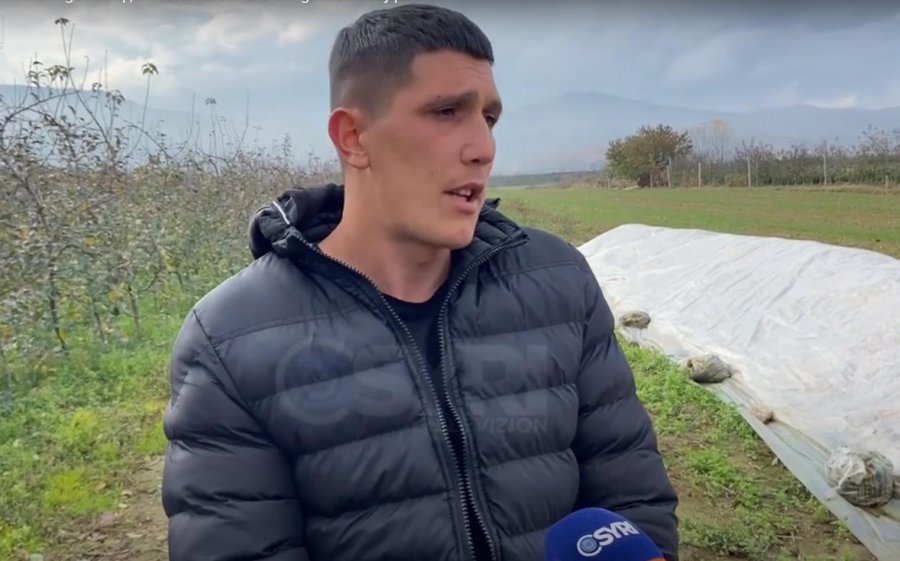 VIDEO-SYRI TV/ Historia e 24-vjeçarit fermer nga Maliqi, investoi kursimet e emigrimit në bujqësi