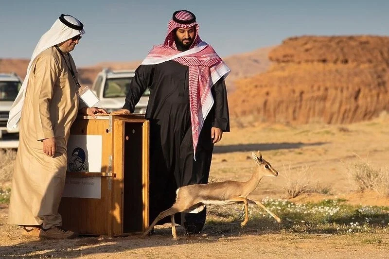 Nuk ka pengesa për Salmanin, Arabia Saudite fitoi organizimin e lojërave dimërore në mes të shkretëtirës