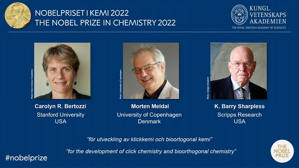 Çmimi Nobel për Kimi shkon për tre studiues molekularë