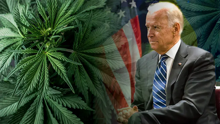 SHBA, Biden do të falë mijëra të burgosur që janë dënuar për posedim marijuanë