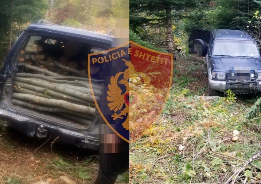 ‘Kishte mbushur makinën me dru të prera në pyll’, arrestohet 45 vjeçari në Korçë