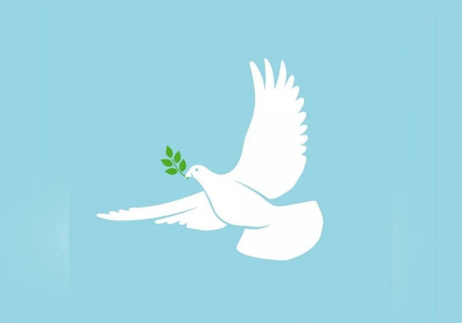 Kryeministër, “jepi shancë paqës”, ajo s’ka alternative