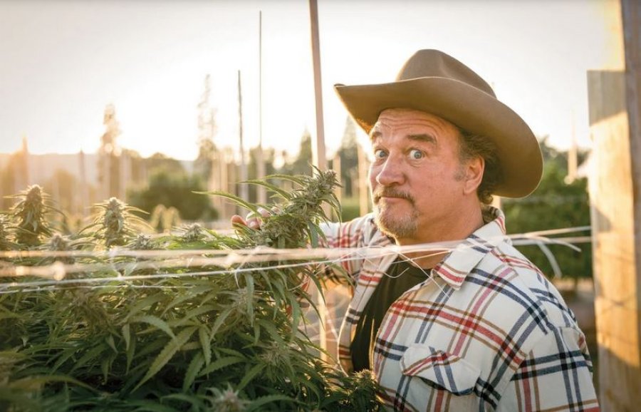 Jim Belushi përuron fermën e kanabisit