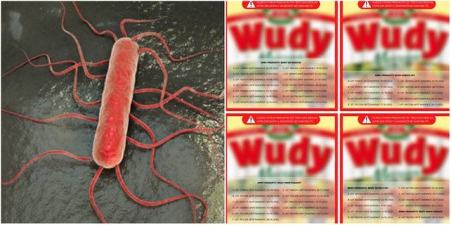 Tek Wudy-t u gjet bakteri i rrezikshëm, ja shenjat dhe personat më të rrezikuar