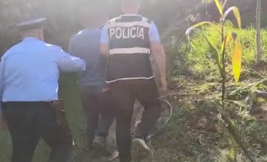 Zbulohet një serë me kubikë kanabisi në Shkodër, arrestoht 58-vjeçari