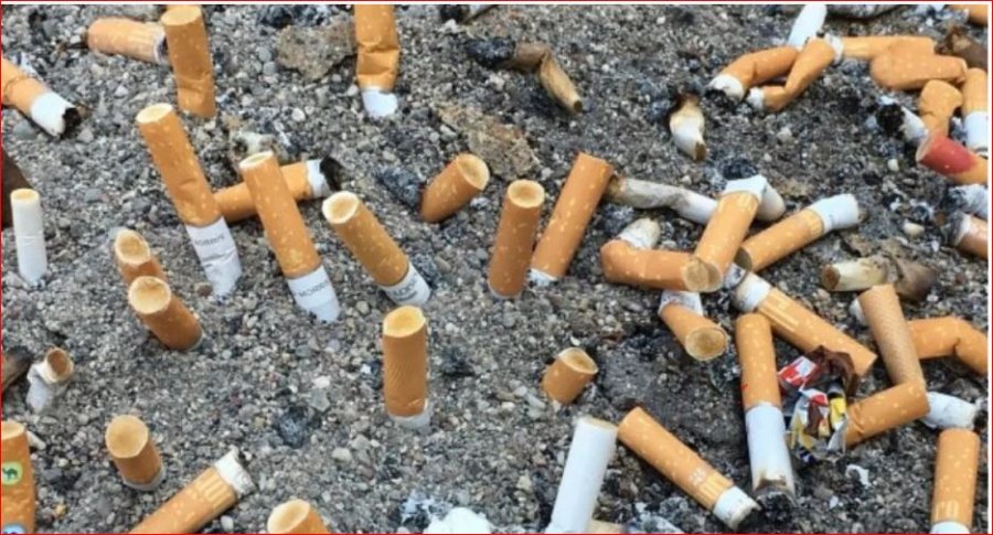 Aktivistët mjedisorë mbledhin 650,000 bishta cigaresh në Lisbonë
