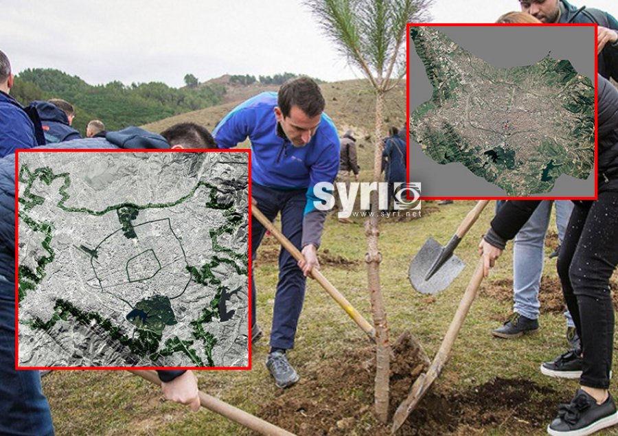 'Mbillen vetëm 157 pemë në muaj'/ Investigimi: Pylli Orbital i Tiranës është 200 vite larg