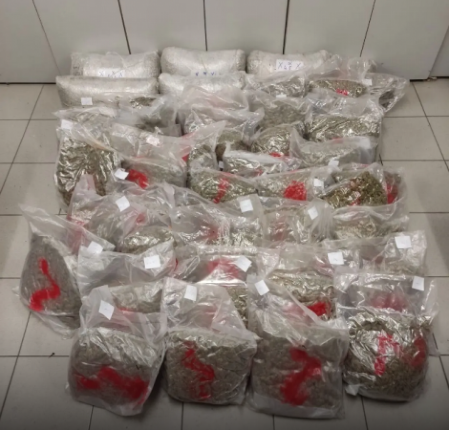 Shkatërrohet banda shqiptare e drogës në Spanjë, tre të arrestuar, sekuestrohen 2000 bimë marijuanë