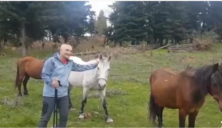 ‘Kënaqësia më e madhe që vjen prej të qëndruarit me…’- Meta publikon videon me kuajt