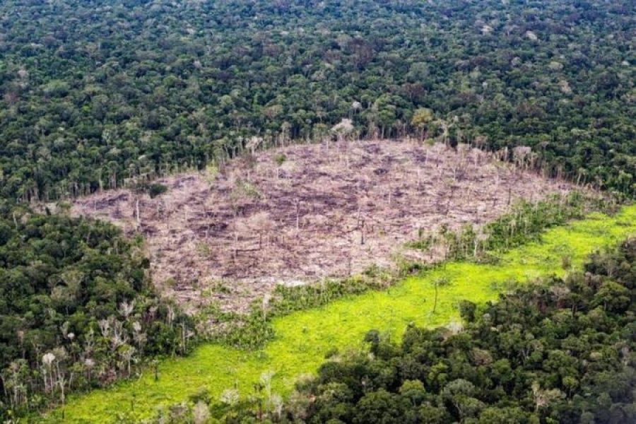 Venezuela dëbon 7 000 shpyllëzues të paligjshëm nga Amazona