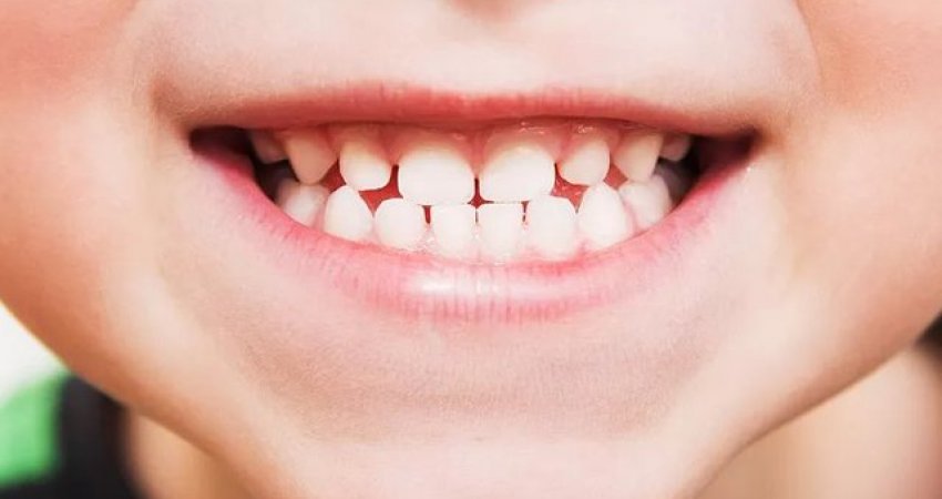 Shkencëtarët po zhvillojnë ilaçin që mundëson ridaljen e dhëmbëve për herë të tretë