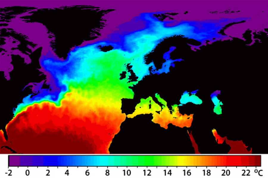 Thyhet rekordi i nxehtësisë së oqeanit, shkencëtarët: Pasojat janë të tmerrshme për planetin