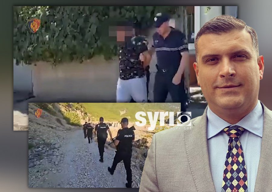 SKANDALI/ Ushtria kultivon kanabis, PL kërkon dorëheqjen e Niko Peleshit