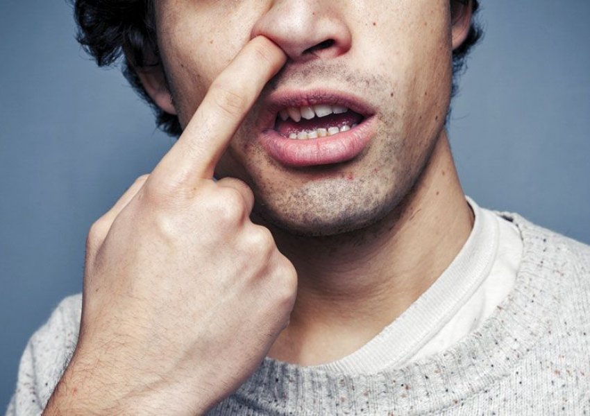 Kruani shpesh hundën? Ekspertë paralajmërojnë rreziqet