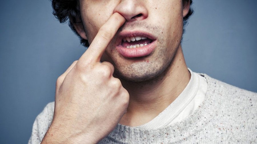 Kruani shpesh hundën? Ekspertë paralajmërojnë rreziqet