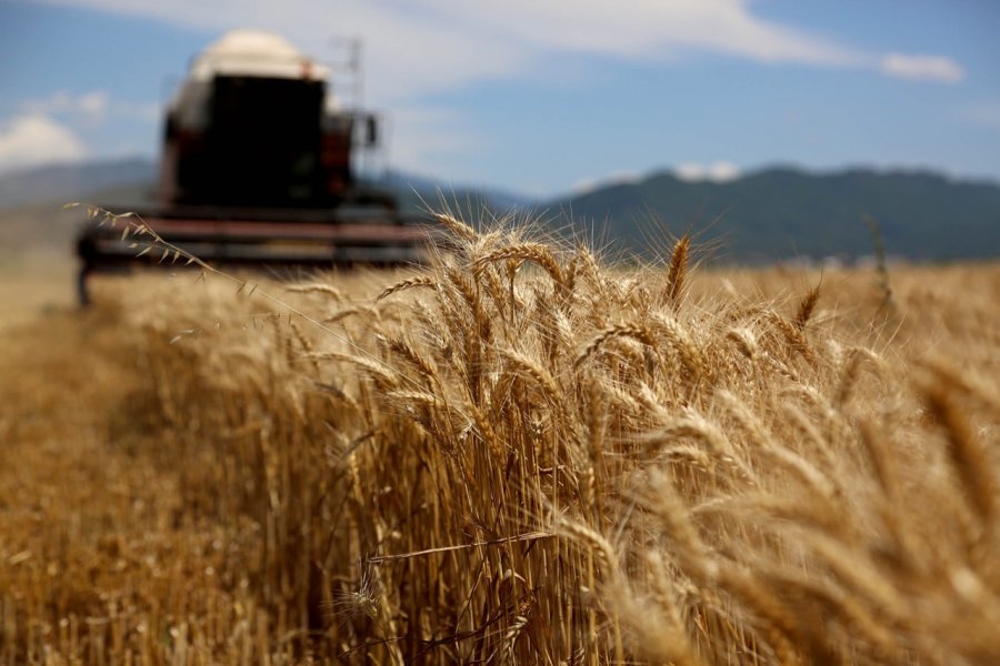 Qeveria ua mori fermerëve 16 milionë euro, baraz me 51% të subvencioneve 