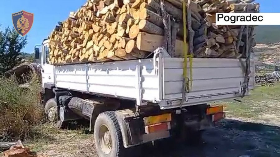 Transportonin me 2 kamionë, dru të prera për zjarr/ Procedohen penalisht 2 persona