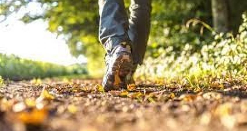 Bëni 5000 hapa në ditë për të qëndruar të shëndetshëm