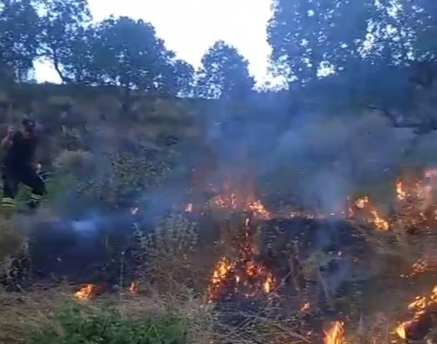 VIDEO/ Shuhet pas 6 orësh zjarri në Labovë të Gjirokastrës, rrezikoi shtëpitë