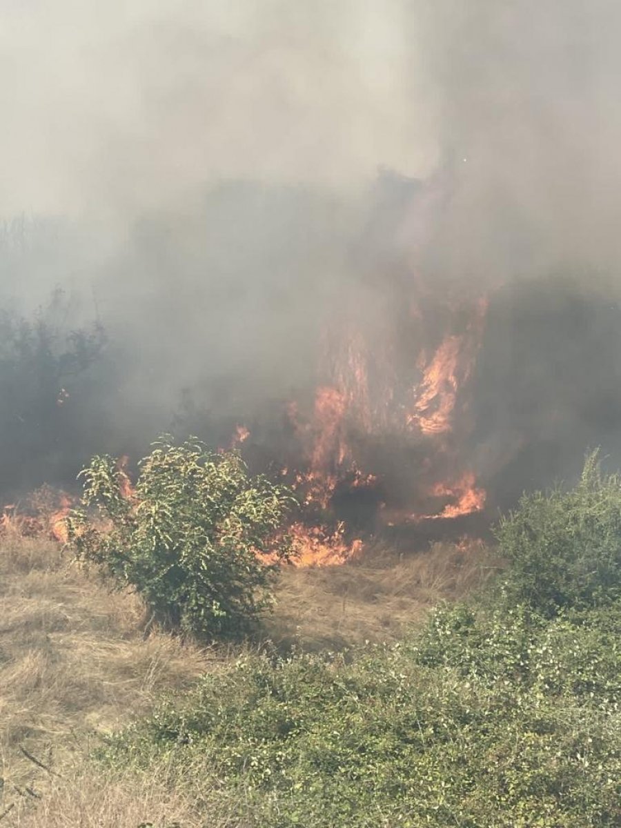 Zjarr në Dropull, përfshihen nga flakët kullotat në fshatin Likomil