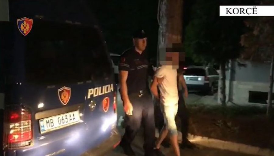 Transportonte me furgon emigrantë të paligjshëm, pranga 35-vjeçarit në Pogradec                 