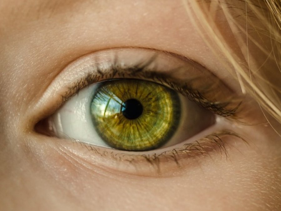 Qelizat embrionale nga njëri sy mund të përdoren për të shëruar syrin tjetër