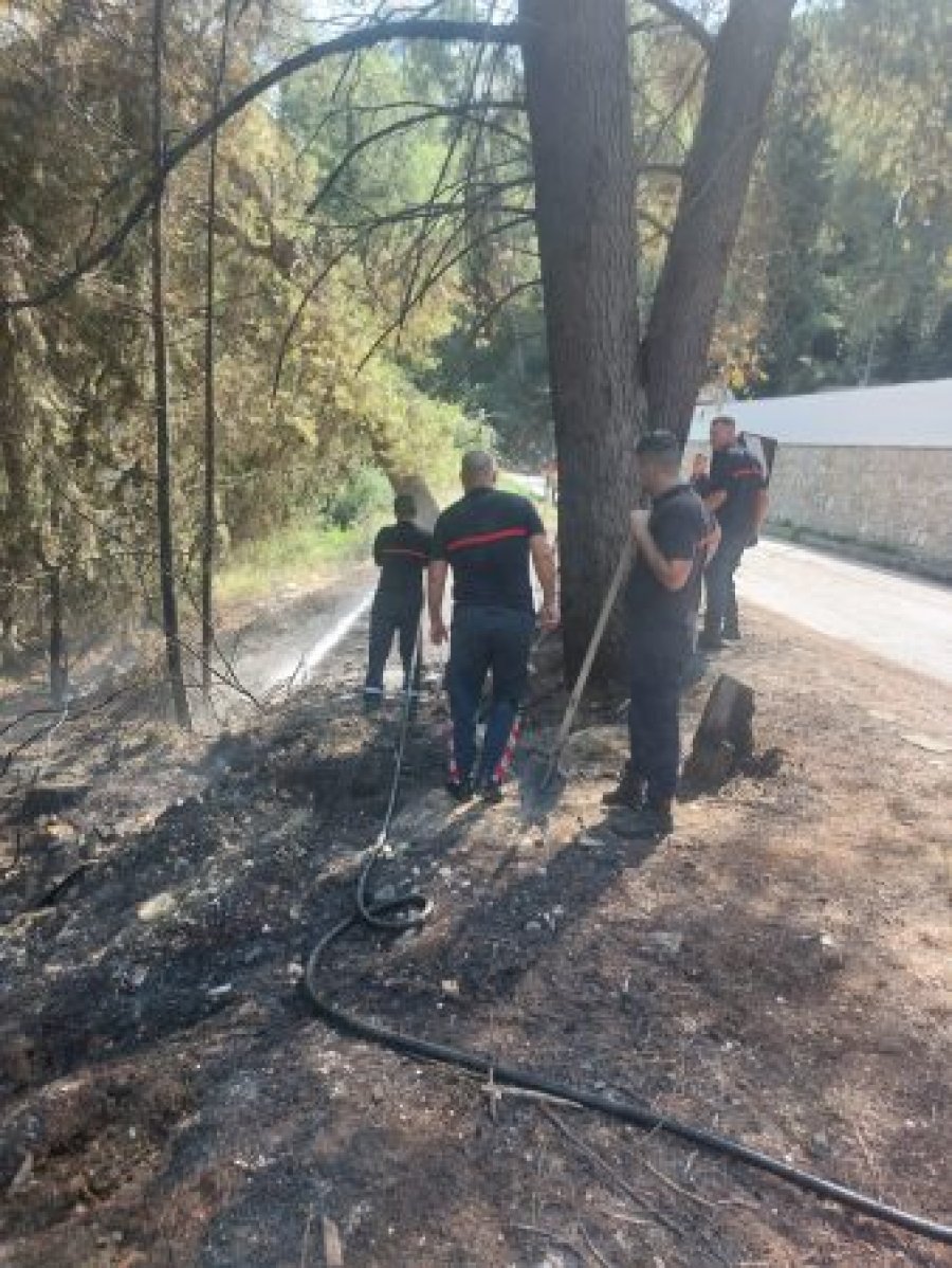 Zjarri në malin Partizan në Berat, digjet një sipërfaqe me shkurre dhe pisha, zjarrfikësit neutralizojnë flakët
