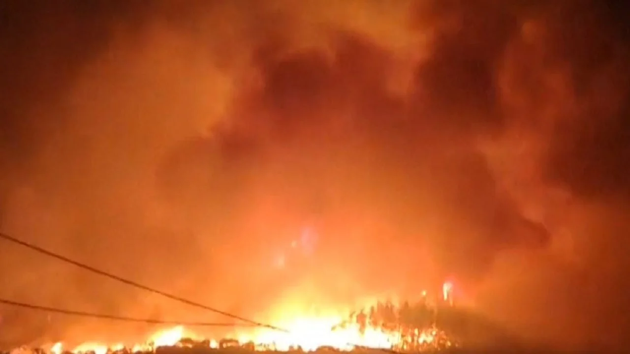 Greqia lufton me flakët! 46 vatra, evakuohen 8 fshatra në Aleksandropolis