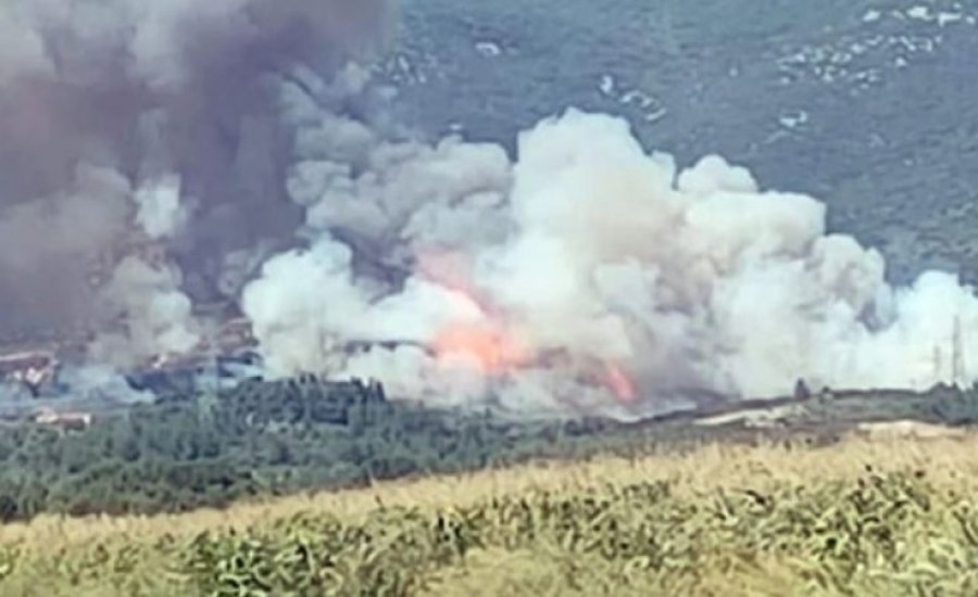 Vijojnë zjarret në Greqi, tentuan të shuanin flakët, pësojnë djegie dy zjarrfikësit në Dialekto