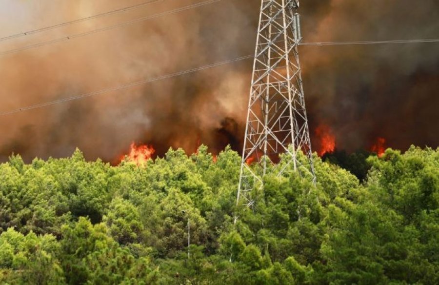 Situatë e vështirë me zjarrin masiv në Laç, ndërhyhet nga ajri, rrezikohen banesat