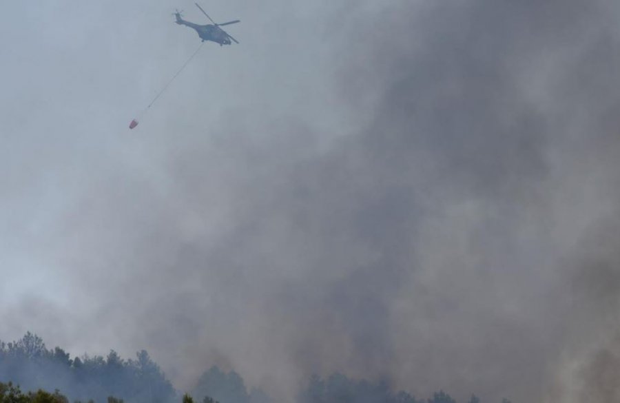 Situata e zjarreve në vend, ministri Peleshi: Vatrat në Laç janë shuar plotësisht, në Tepelenë po punohet nga terreni                 