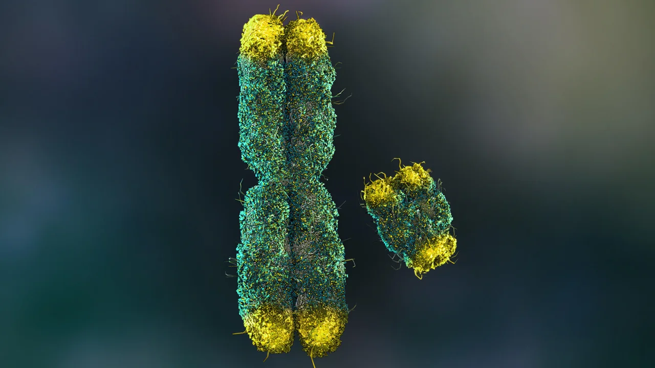Shkencëtarët më në fund kanë deshifruar misteret e kromozomit Y. Ja pse ka rëndësi